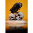 f3ccdd27d2000e3f9255a7e3e2c48800_preview_featured.jpg Raven with Skulls
