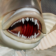 Dentex-trophy-24.png fish Common dentex / dentex dentex trophy statue detailed texture for 3d printing