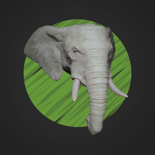 Render_elephant.jpg STL file African Elephant Head - High Poly・3D printer design to download, ricardo-jfa