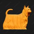 599-Australian_Silky_Terrier_Pose_03.jpg Australian Silky Terrier Dog 3D Print Model Pose 03