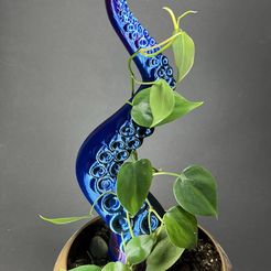 IMG_6794.jpeg Tentacle Houseplant Support, Decor.
