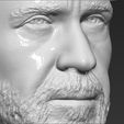 17.jpg Chuck Norris bust 3D printing ready stl obj formats