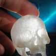 IMG_20200925_233621.jpg Articulable Skull Articulable Skull