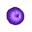 Pumpkin_MeshScaled.stl Einscanned Pumpkin
