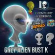 Alien-Bust-K.jpg 经典灰色外星人胸像 K | 科幻收藏（AMS 和 STL） 👽