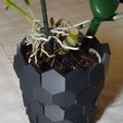 Hexagon-plant-pot-2-colour-close.jpg Hexagon Tile Flower Pot Plant Holder with ridged base
