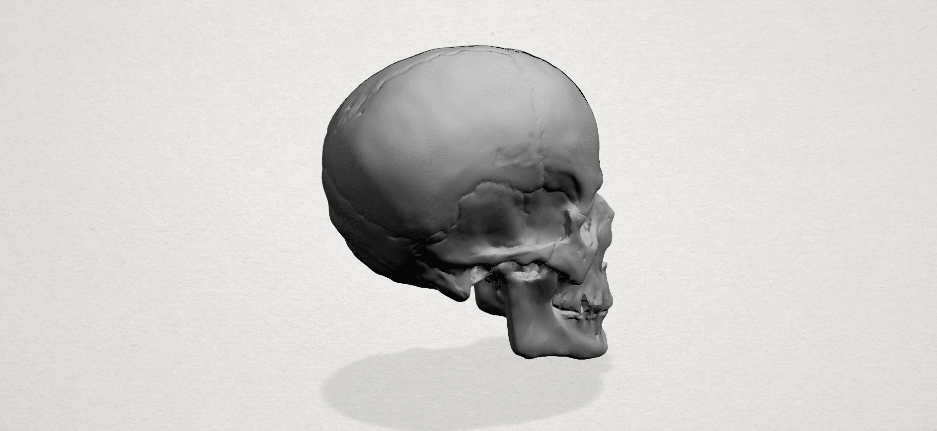 Skull - A04.png Download free file Skull 01 • Object to 3D print, GeorgesNikkei