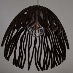 DSC_0716_1080p.JPG Free STL file Empyreal Bloom (Pendant Light - Procedural Growth)・3D printer design to download