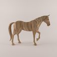 Right View.jpg Wooden Horse-43