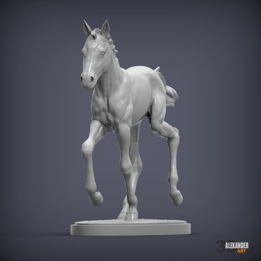 foal-is-running3.jpg El potro corre