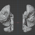 68.PNG.5bc840841bd57815bf5987105e94a576.png 3D Model of Human Brain