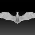 a3.jpg bat - dark animal - scary animal