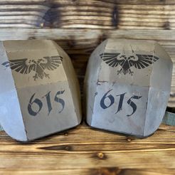 IMG_3910.jpg STL file Imperial guard shoulder pads・3D print model to download