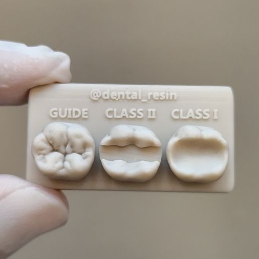 👾 Lower first Molar training model・ STL File for 3D printing・Cults