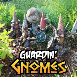 Photo Jun 15, 7 41 14 AM (1).jpg Guardin' Gnomes, Fantasy Garden Gnome Warriors
