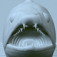 zander-head-trophy-38.png fish head trophy zander / pikeperch / Sander lucioperca open mouth statue detailed texture for 3d printing