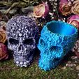 Catacombs_2style.jpg 2 Designs, Catacombs Skull package, by Pretzel Prints