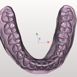 Capture-d'écran-2023-10-11-143040.png mandibular teeth