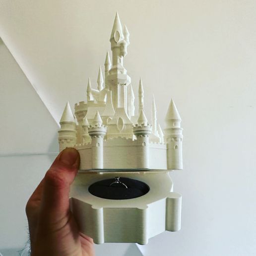 851AB36D-8A9E-4907-AD2B-DF515DE8AF59.jpeg Sleeping Beauty Castle Coffer