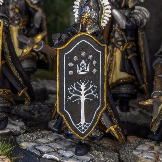 WhatsApp-Bild-2024-07-23-um-17.39.07_940b3dde.jpg Shield FG-2