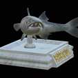 Barracuda-huba-trophy-11.png fish great barracuda statue detailed texture for 3d printing