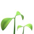 Sprout_04.jpg Plant Sprout
