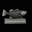 Peacock-Bass-statue-box-1-2-20.png fish Peacock bass (Cichla ocellaris) fish in motion base box for 3D printing