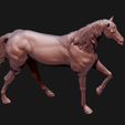 07.jpg Thoroughbred Horse model 3D print model