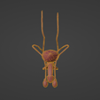 7.png 3D Model of Male Reproductive System