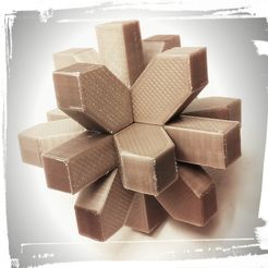 IMG_20161124_230117_167.jpg Free 3D file BRAIN TEASER・3D printer design to download