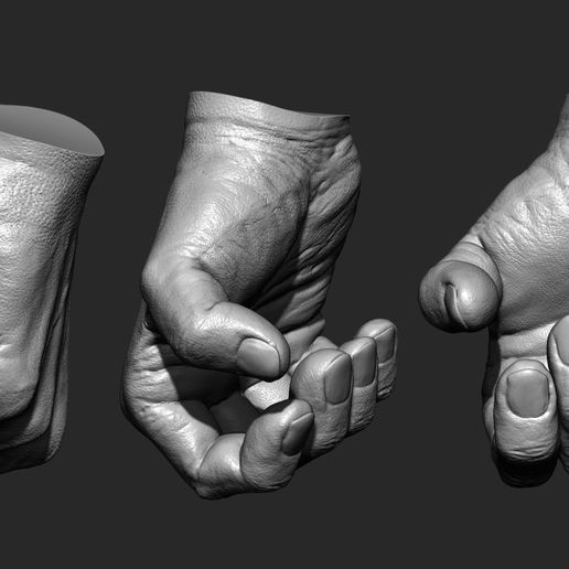 realistic-male-hand-3d-model-3d-model-obj-ztl.jpg 2 male hands