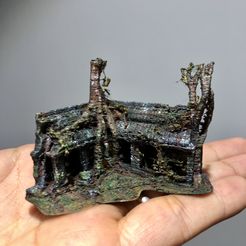 img-6367.jpg Free 3D file Temple Ruins - Cambodia・3D printing idea to download