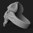 bully-skull-ring-3d-model-for-3d-printing-3d-print-model-3d-model-d22cbb9c39.jpg Bully skull ring 3d model