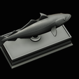 coalfish-statue-box-1-46.png fish coalfish / Pollachius virens with storage space / for 3d printing