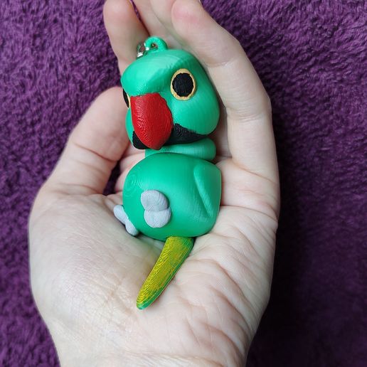 IMG_20250219_145747787.jpg 环颈鹦鹉钥匙链