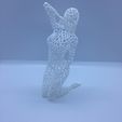 IMG_2101.JPG STL-Datei Voronoi woman poses・Modell zum Herunterladen und 3D-Drucken