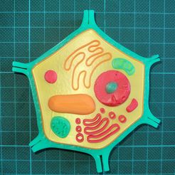 Multi-Color Mini Plant Cell