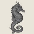 Seahorse-08.jpg Seahorse