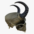 model-4.png Horned animal skull