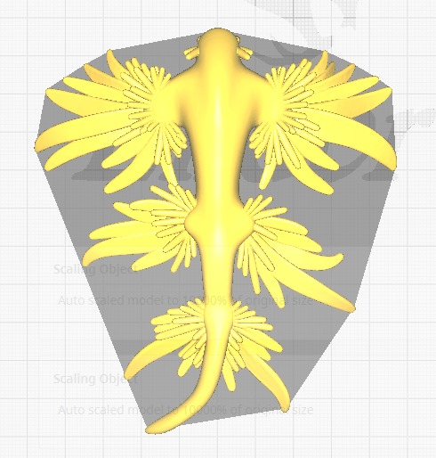 🐌 3D model represents different forms of mollusks such as the spiral