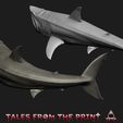 Great-white-shark-megalodon-6-Tales-from-the-print.jpg 鲨鱼--巨齿鲨--大白鲨套装--单件和多件版 品质卓越，由 Tales from the print 提供