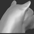 8.jpg Leopard head for 3D printing