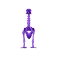 Complete Dodo.stl Archivo STL Esqueleto de dodo (preciso y con todo lujo de detalles)・Design para impresora 3D para descargar