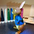 PR_07.jpg Peter Rabbit With Benjamin Bunny & Lily Bobtail