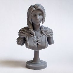 STL file Écorché bust deluxe 👤・3D print model to download・Cults