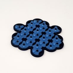 01_game.jpg Archivo STL gratis 25 Flores de loto Puzzle・Modelo para descargar y imprimir en 3D