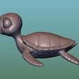 3.jpg Sea Turtle (Green turtle)