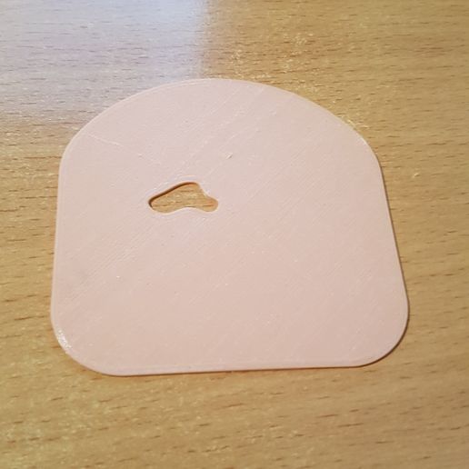 20190121_195230.jpg Scheibe Schinken