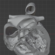 12.png 3D Model of Heart (apical 5 chamber plane)