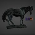 HorseScan.jpg Horse Statue (Color 3D Scan)